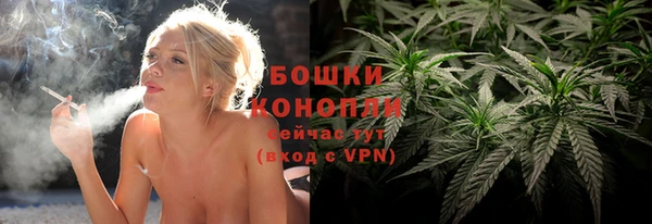 дживик Володарск