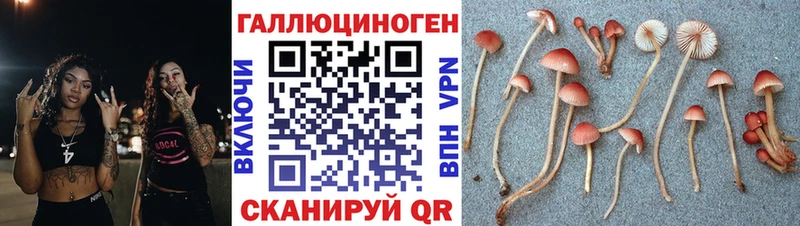 закладка  Чишмы  Псилоцибиновые грибы мухоморы 